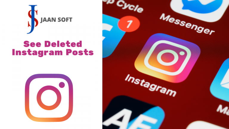 See Deleted Instagram Posts