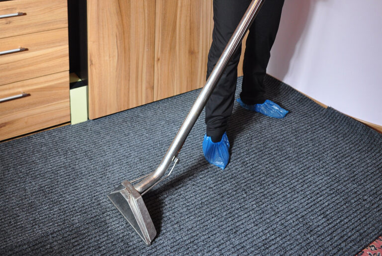 expert carpet cleaning services in auckland freshness guaranteed