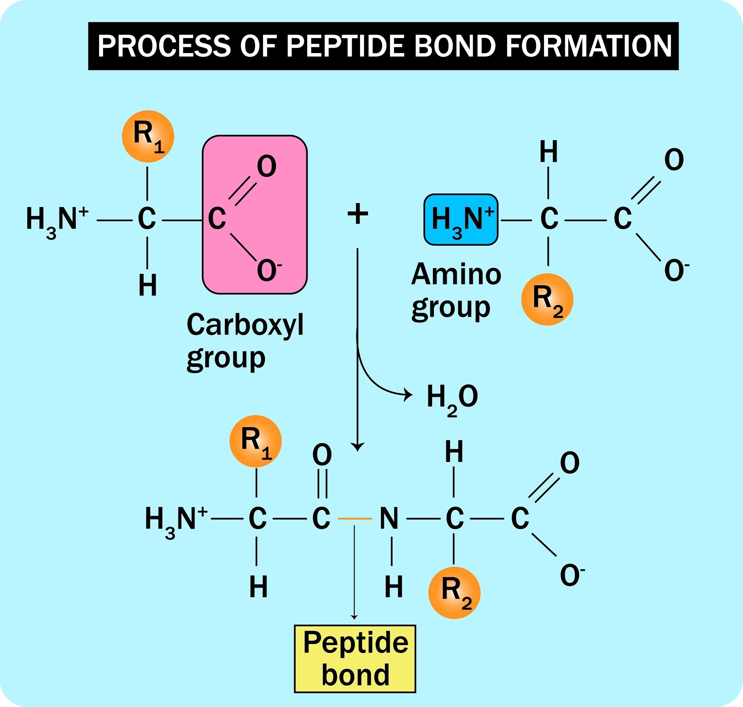 licensed imageqtbnANd9GcTQxxclE67ys5pzqOBNYhbQyUdKrm0clKtHnZmgLvaXctp4HD 59meNrBNZ6 v6jmaHAUHrsIieTFXuhSz77ug8tborz9IvqbSV5UfmMccSmClKu8I